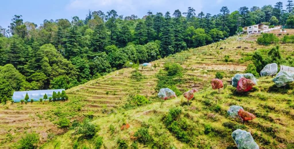 Ranikhet