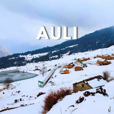 Auli