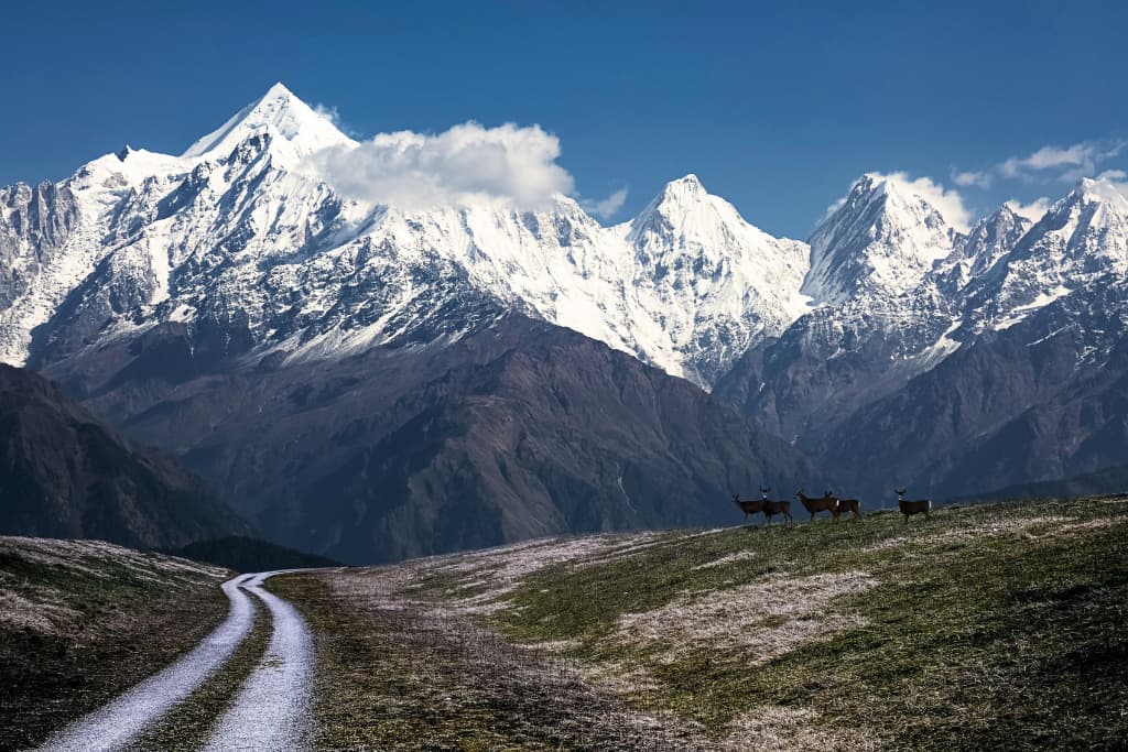 Munsiyari, panchachuli peaks